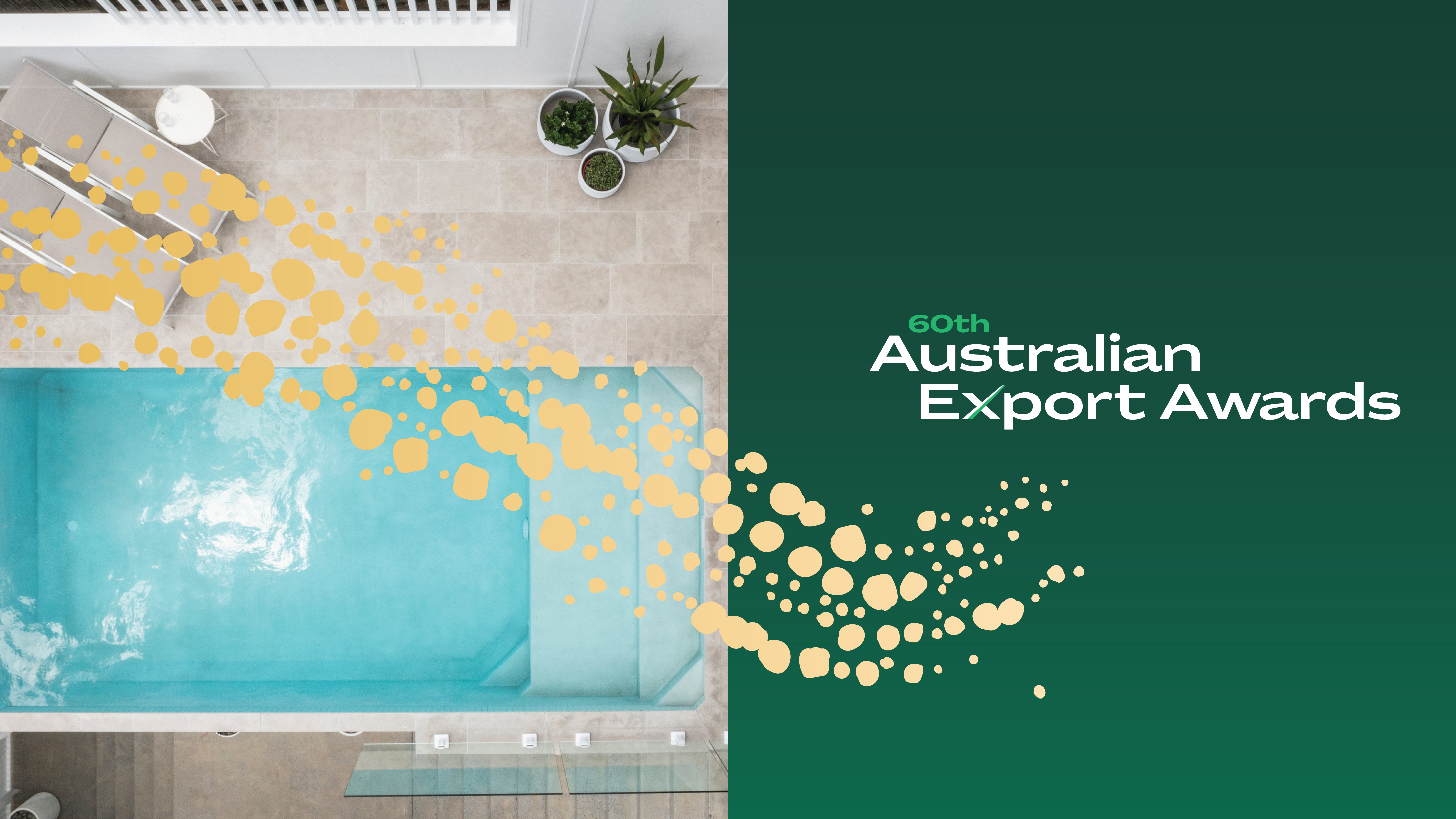 Export Winner Blog Cover NO RESULT-01